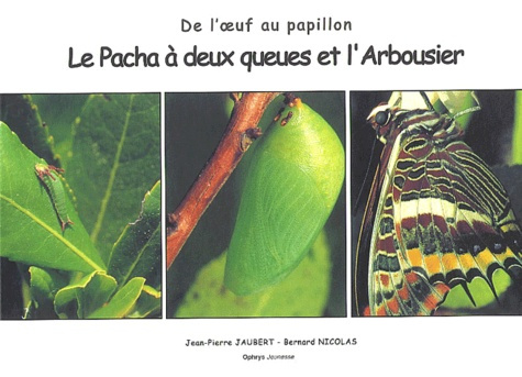 Emprunter Le pacha à deux queues et l'arbousier. De l'oeuf au papillon livre