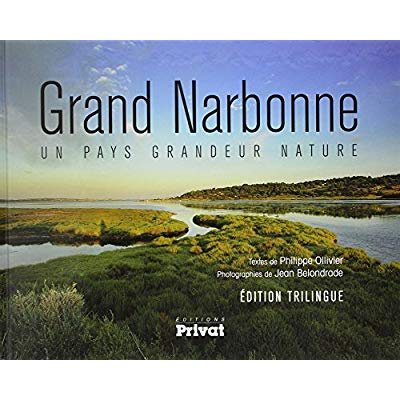 Emprunter Le grand Narbonne livre