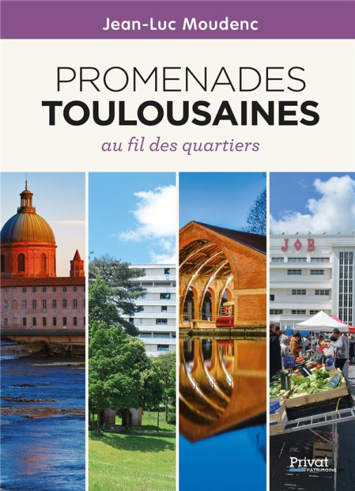 Emprunter Promenades toulousaines. Au fil des quartiers livre