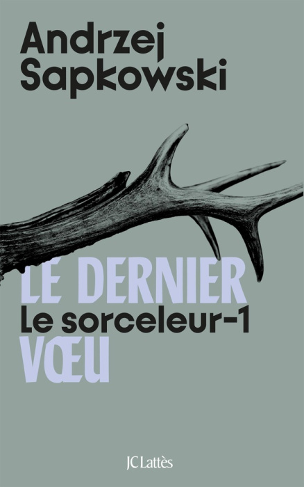Emprunter Le Sorceleur Tome 1 : Le dernier voeu livre
