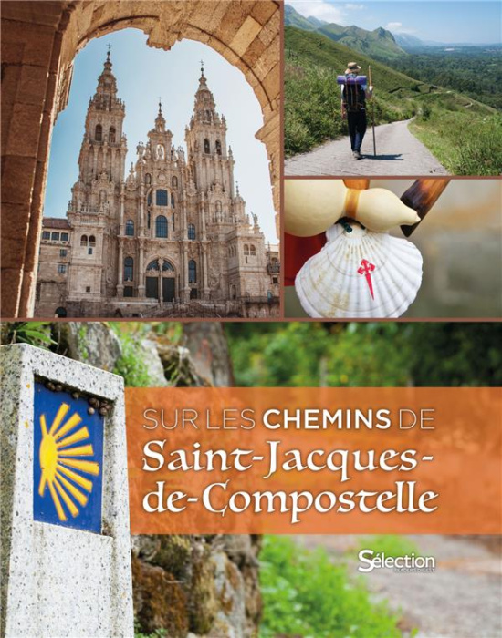 Emprunter Sur les chemins de Saint-Jacques-de-Compostelle livre