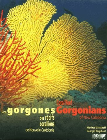 Emprunter Les gorgones des récifs coralliens de Nouvelle-Calédonie livre