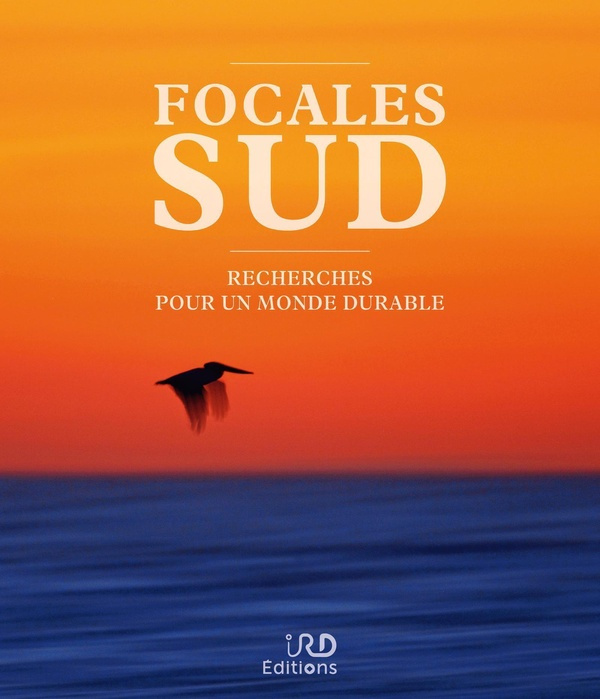Emprunter Focales Sud. Recherches pour un monde durable livre