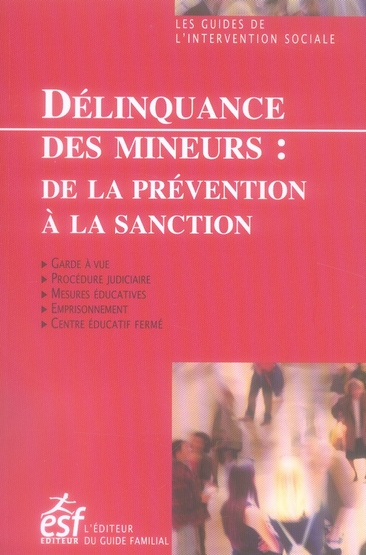 Emprunter Délinquance des mineurs. De la prévention à la sanction livre