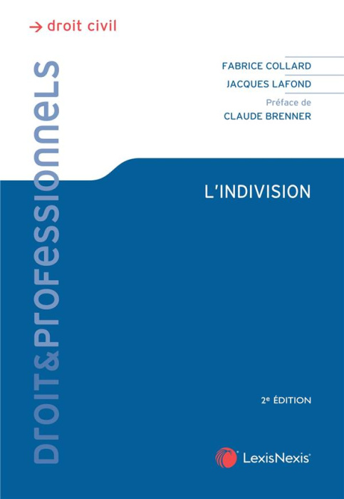 Emprunter L'indivision. 2e édition livre