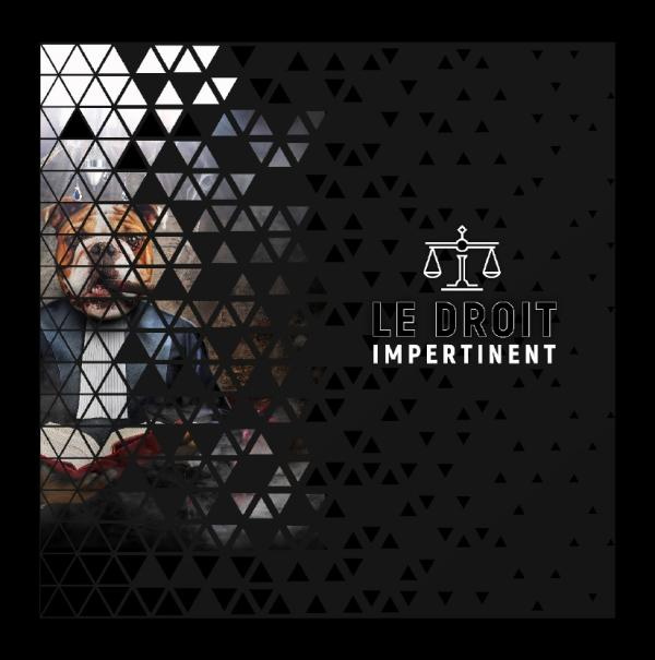 Emprunter Le droit impertinent livre