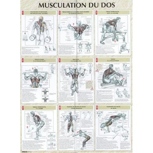 Emprunter Musculation du dos. Poster livre