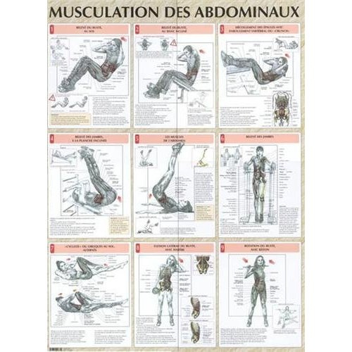 Emprunter Musculation des abdominaux. Poster livre