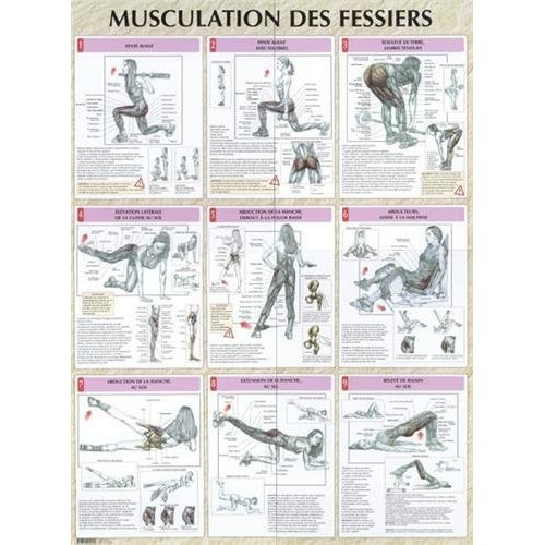 Emprunter Musculation des fessiers. Poster livre