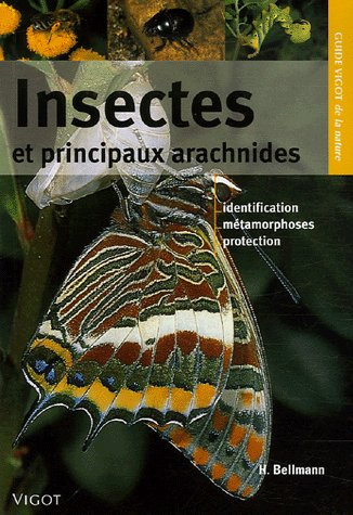Emprunter Insectes et principaux arachnides livre