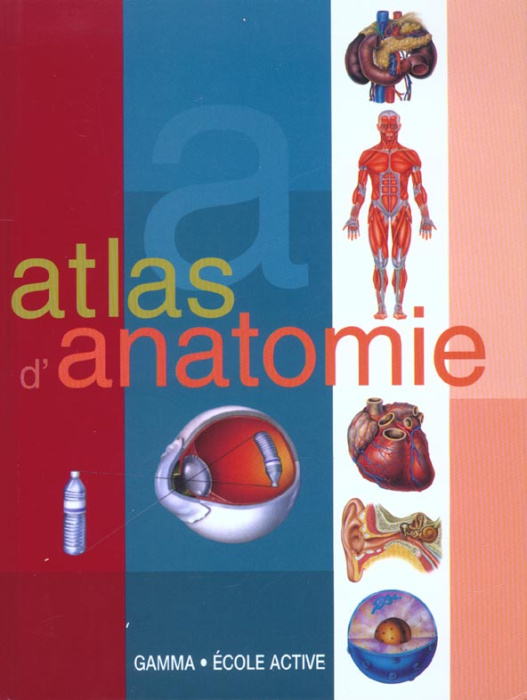 Emprunter Atlas d'anatomie livre