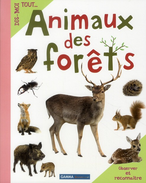 Emprunter Animaux des forêts livre