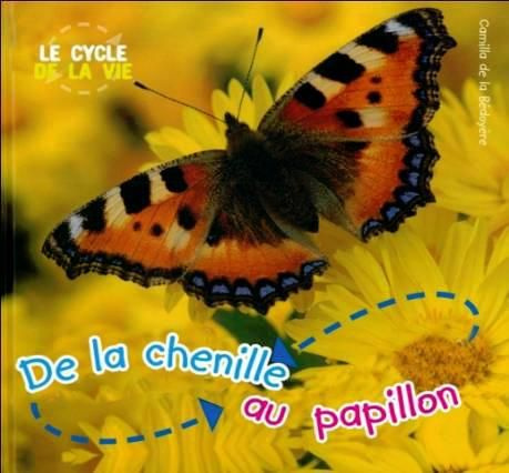 Emprunter De la chenille au papillon livre