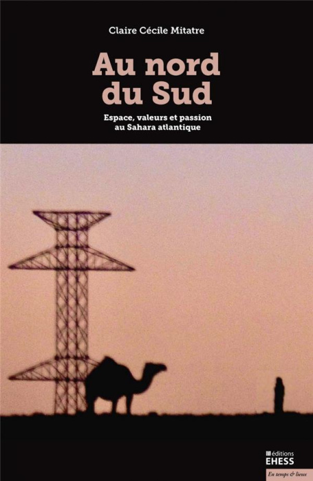 Emprunter Au nord du Sud. Espace, valeurs et passion au Sahara atlantique livre