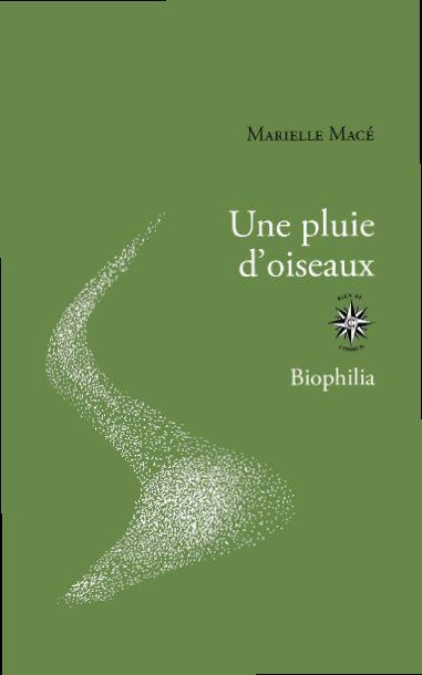 Emprunter Une pluie d'oiseaux livre