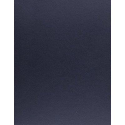 Emprunter HISTOIRE FLORALE DE LA PEINTURE 2V livre