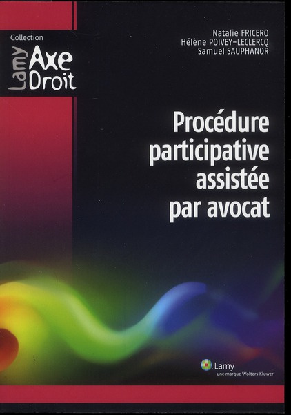 Emprunter Procédure participative assistée par avocat livre