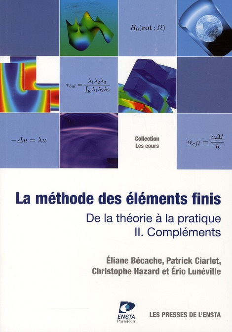 Emprunter La méthode des éléments finis : de la théorie à la critique. Volume 2 : compléments livre