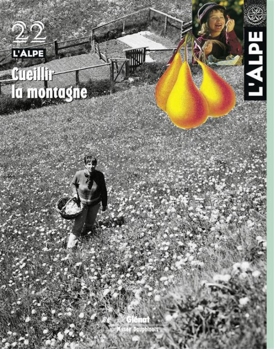 Emprunter L'Alpe N° 22 : Cueillir la montagne livre