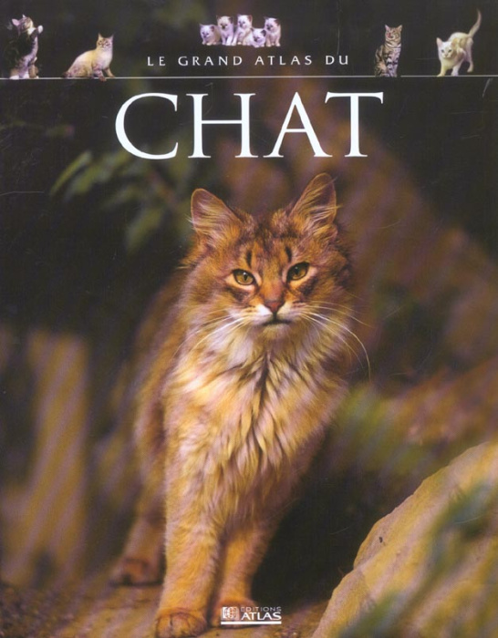 Emprunter Le grand atlas du chat livre