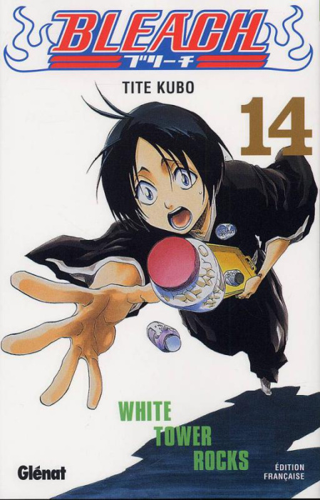 Emprunter Bleach Tome 14 : White Tower Rocks livre