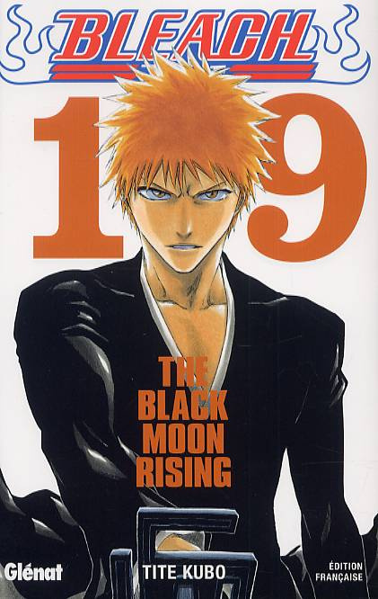 Emprunter Bleach Tome 19 : The Black Moon Rising livre