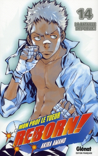 Emprunter Reborn ! Tome 14 : La bataille des cieux ! livre
