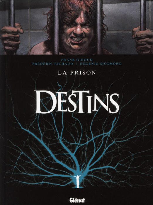Emprunter Destins Tome 12 : La prison livre