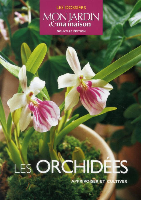 Emprunter Les orchidées. Apprivoiser et cultiver livre
