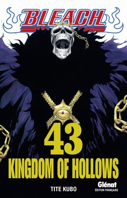 Emprunter Bleach Tome 43 : Kingdom of Hollows livre