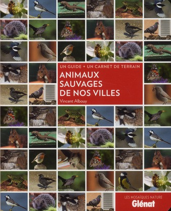 Emprunter Animaux sauvages de nos villes livre