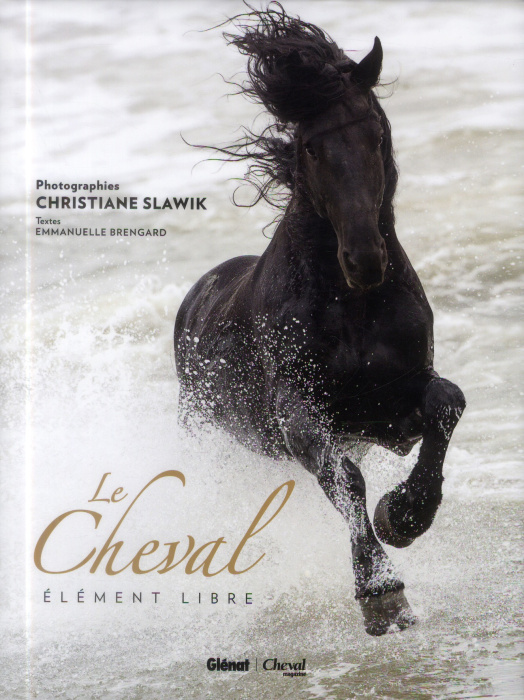 Emprunter Le cheval. Elément libre livre