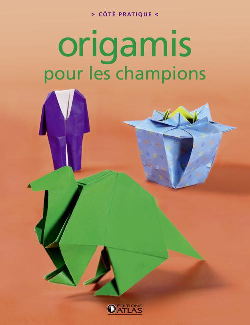 Emprunter Origamis pour les champions livre