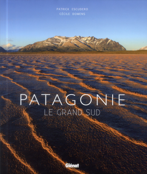 Emprunter Patagonie. Le grand sud livre