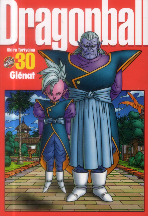 Emprunter Dragon Ball perfect edition Tome 30 livre