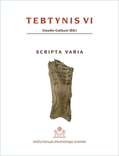 Emprunter Tebtynis. Volume 6, Scripta varia : textes hiéroglyphiques, hiératiques, démotiques, araméens, grecs livre