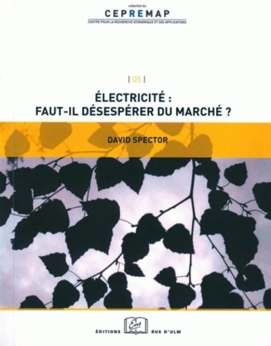 Emprunter Electricité : faut-il désespérer du marché ? livre