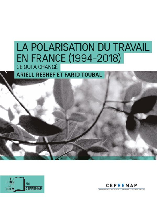 Emprunter La polarisation du travail en France. Ce qui s'est aggravé depuis la crise de 2008 livre