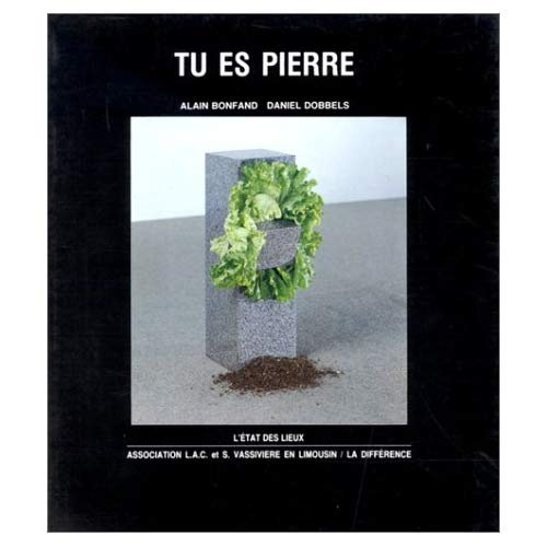 Emprunter TU ES PIERRE livre