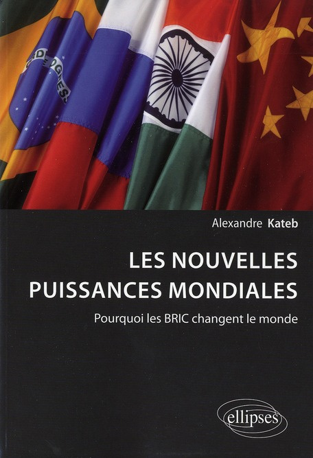Emprunter Les nouvelles puissances mondiales. Pourquoi les BRIC changent le monde ? livre