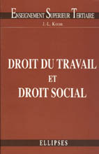 Emprunter Droit de l'entreprise Tome 2 : Droit du travail et droit social livre