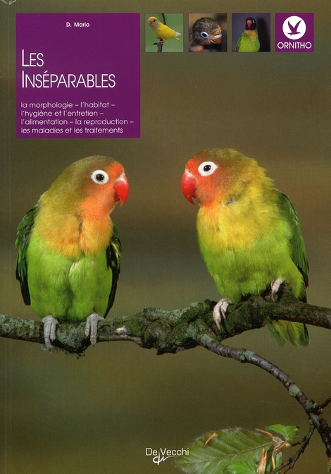 Emprunter Les inséparables livre