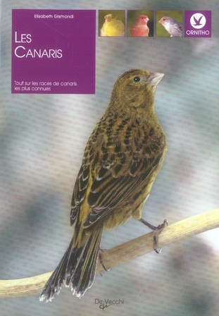 Emprunter Les canaris livre