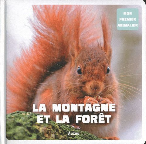 Emprunter La montagne et la forêt livre
