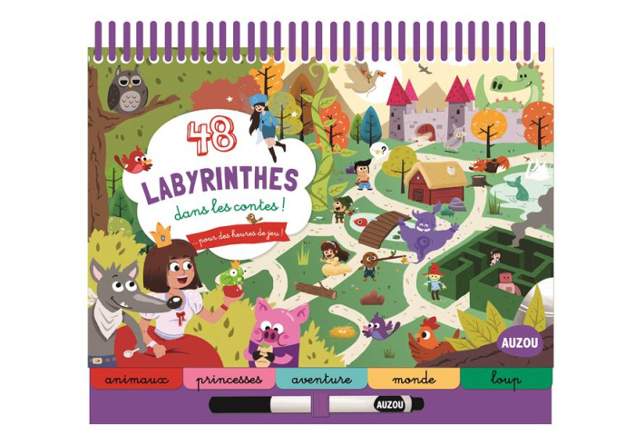 Emprunter 48 labyrinthes dans les contes livre