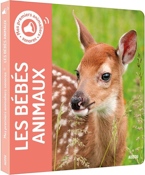 Emprunter Les bébés animaux livre