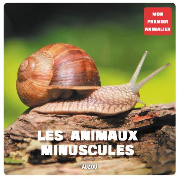 Emprunter Les animaux minuscules livre