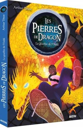 Emprunter Les pierres de dragon Tome 2 : Le gouffre de l'oubli livre