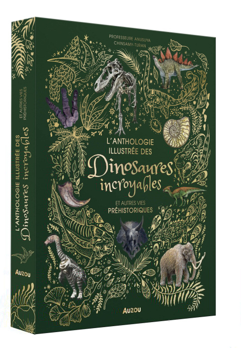 Emprunter L'anthologie illustrée des dinosaures incroyables et autres vies préhistoriques livre