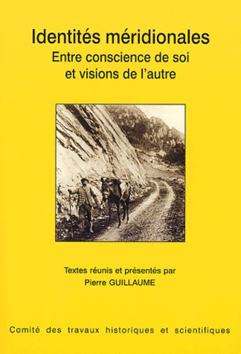 Emprunter Identités méridionales. Entre conscience de soi et visions de l'autre livre